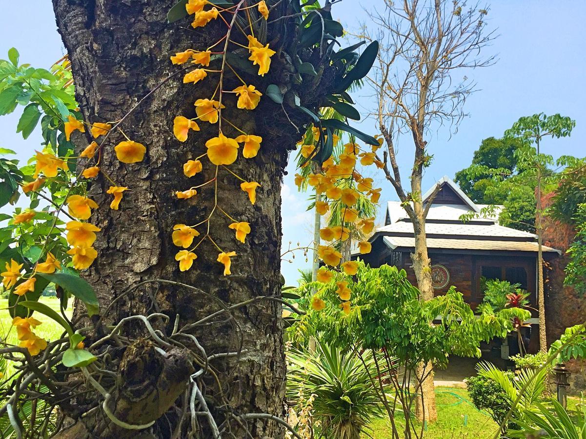 Bantunglom Resort แม่ริม ภายนอก รูปภาพ